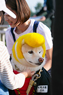 ゆかいな日本犬㉔